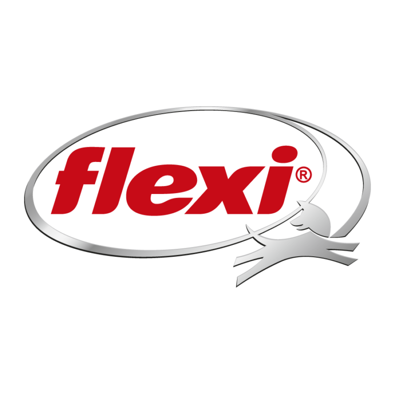 Logo FLEXI