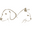 Zoolyx logo